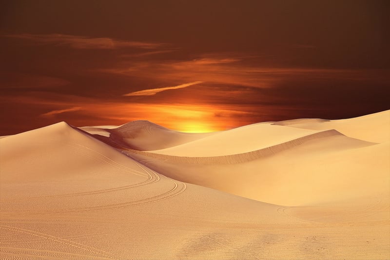 Desert Landscape